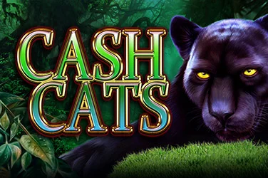 Cash Cats